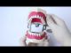ADC Dental Model Teaching Standard Teeth Model Demonstration Soft Gum 32pcs Teeth Available